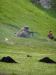 P1010242.JPG - 2011:07:24 13:43:35