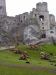 P1010250.JPG - 2011:07:24 13:45:09
