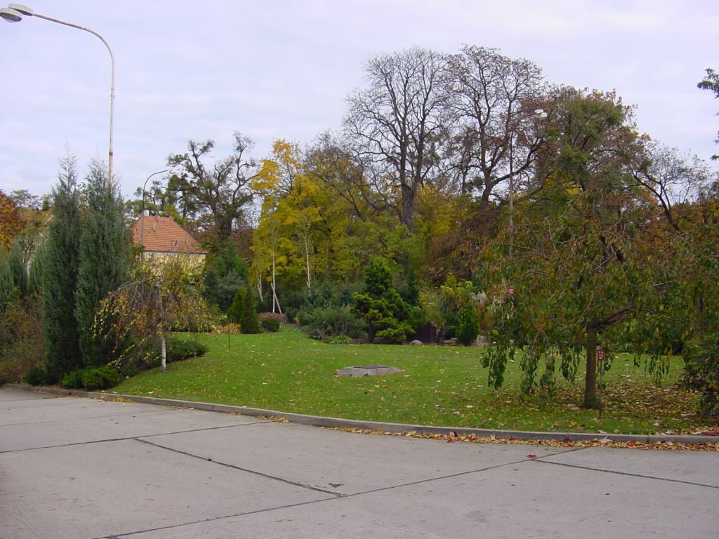 * Image 75