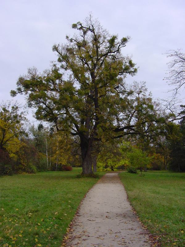 * Image 77