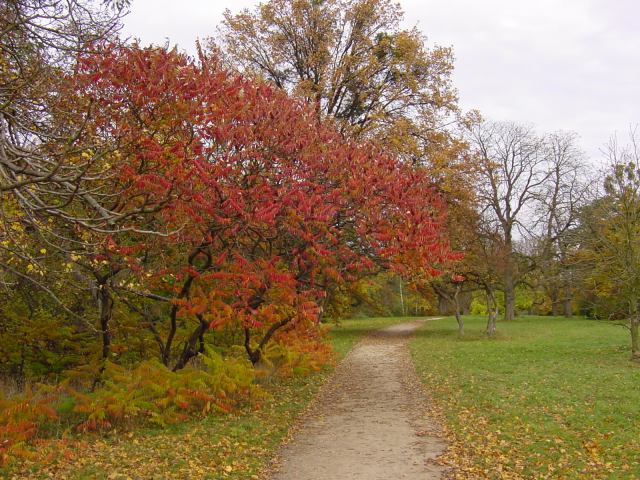 * Image 76