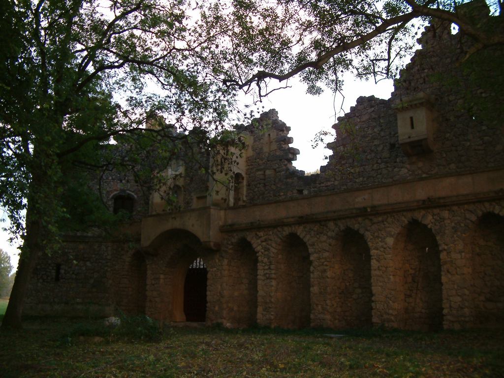 * Image 64