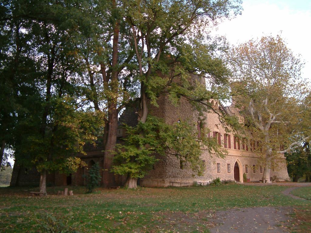 * Image 73