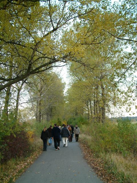 * Image 46