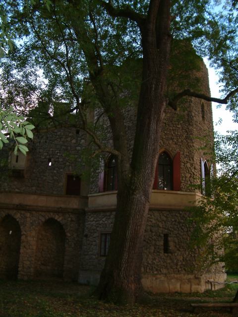 * Image 65