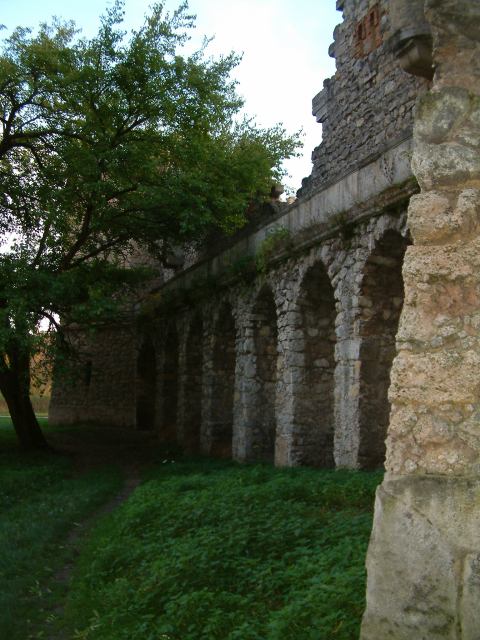 * Image 67