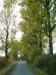 DSCF0119.JPG - 2004:10:20 17:17:10