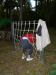 DSCF0139.JPG - 2004:10:20 17:36:14