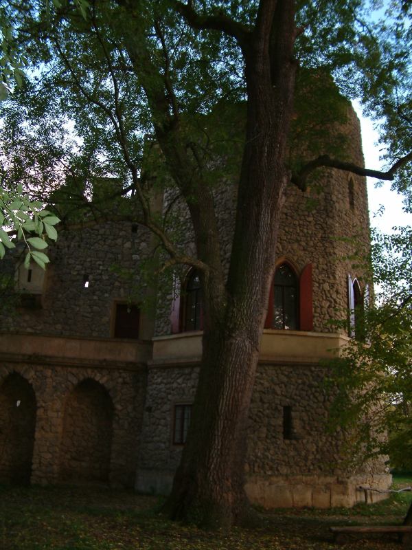* Image 65
