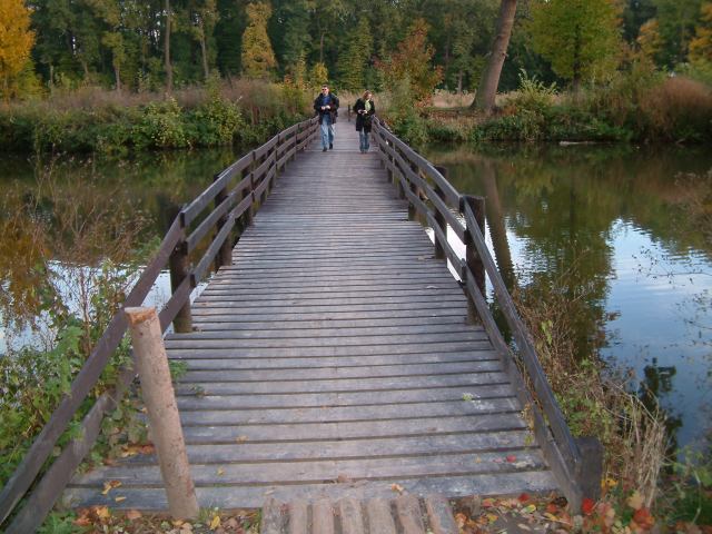 * Image 54