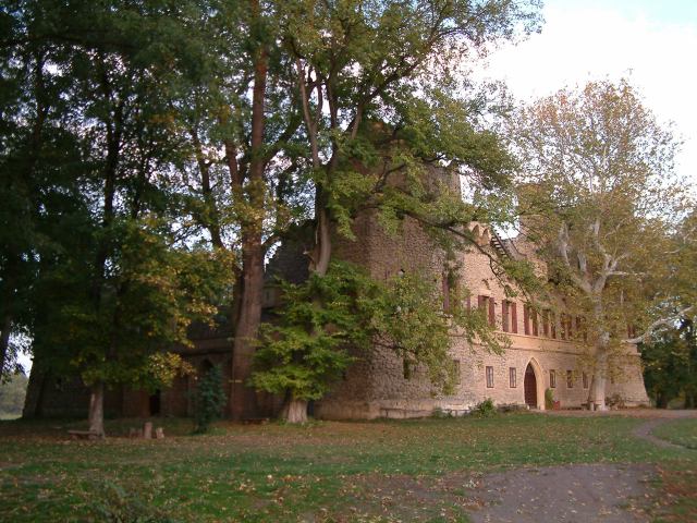 * Image 73