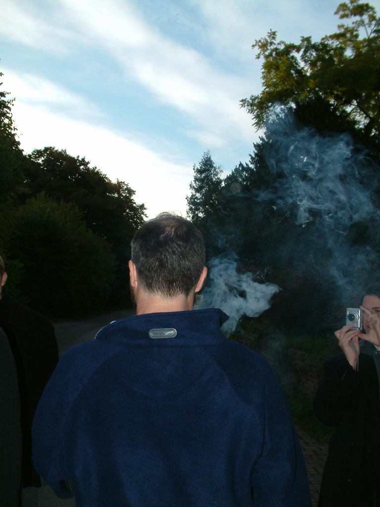 * Image 39