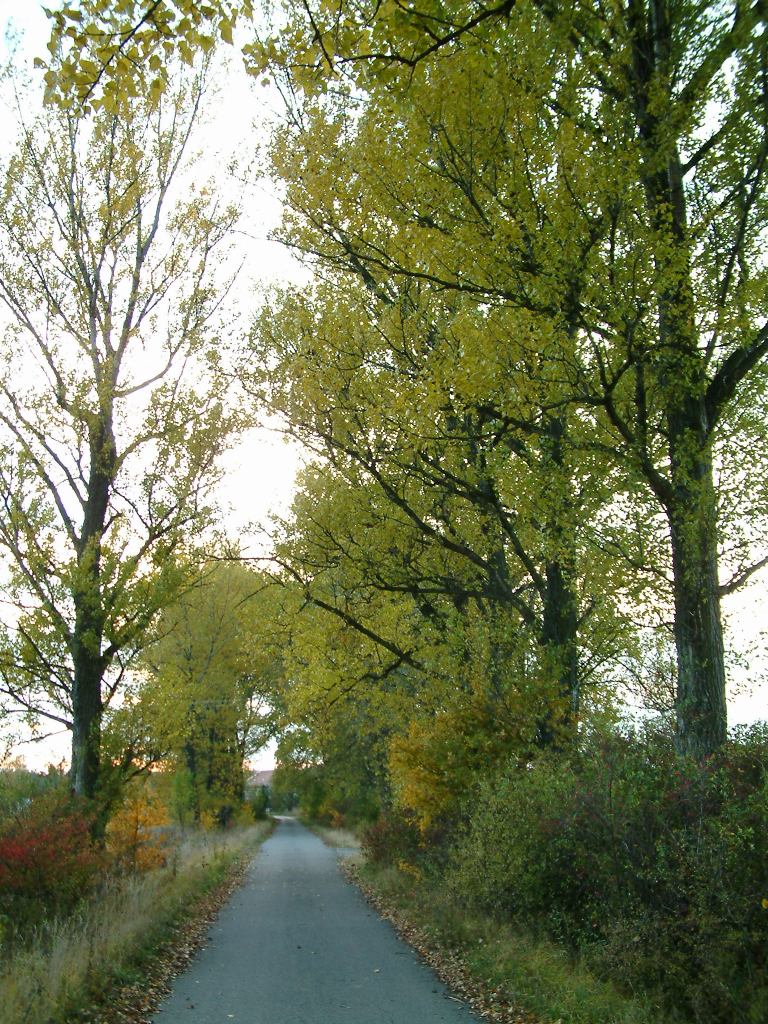 * Image 47