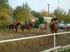 DSCF0213.JPG - 2004:10:21 16:48:55