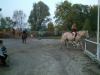DSCF0231.JPG - 2004:10:21 17:14:51