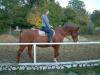 DSCF0237.JPG - 2004:10:21 17:16:50