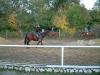 DSCF0239.JPG - 2004:10:21 17:17:22