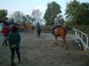 DSCF0248.JPG - 2004:10:21 17:23:26