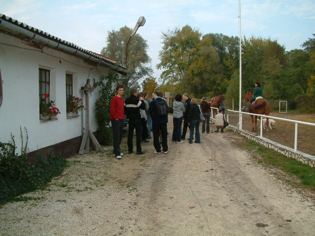 * Image 30