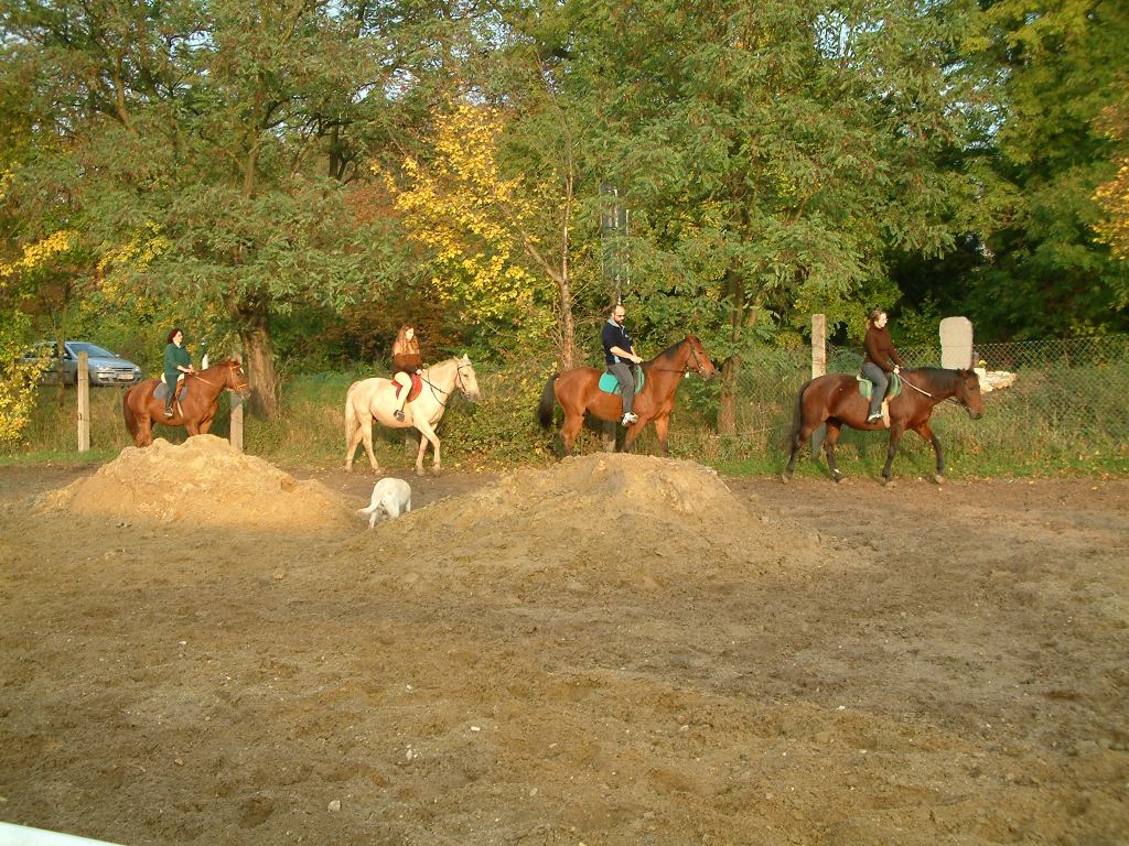 * Image 46