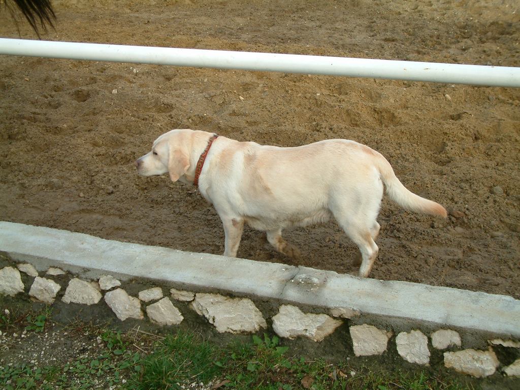 * Image 48