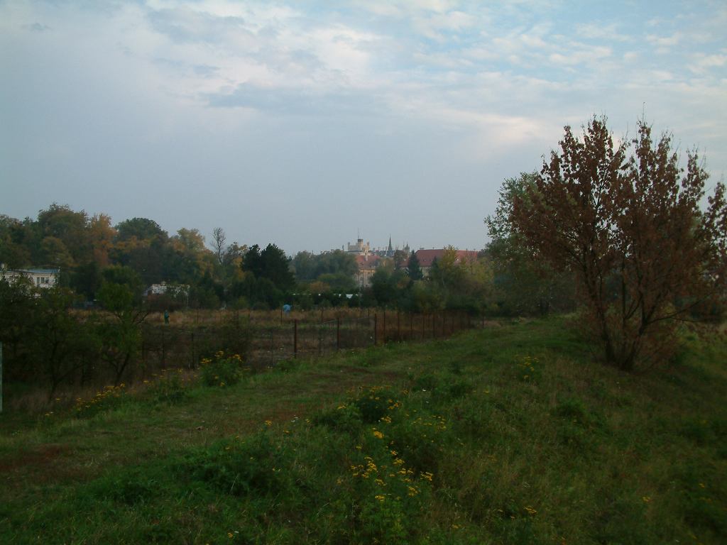 * Image 57