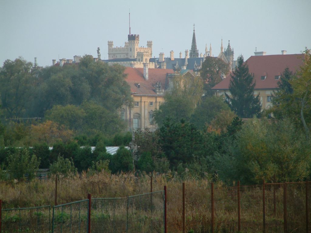 * Image 58