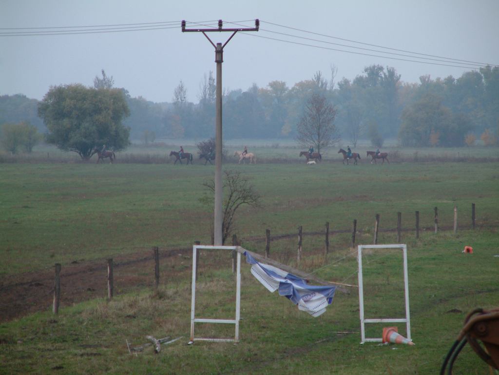 * Image 61