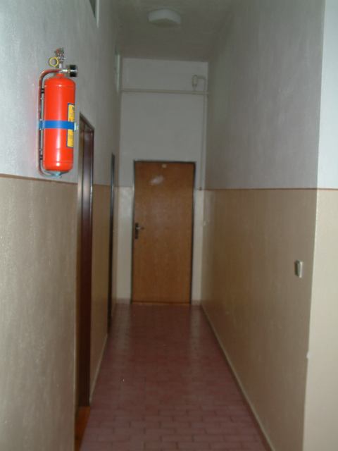 * Image 1