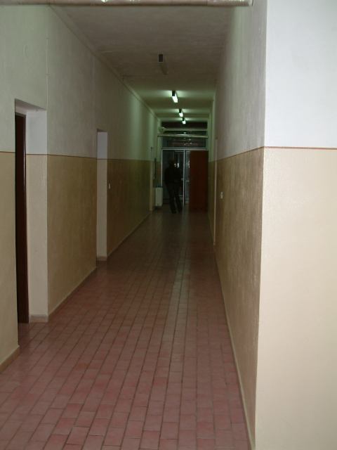 * Image 2