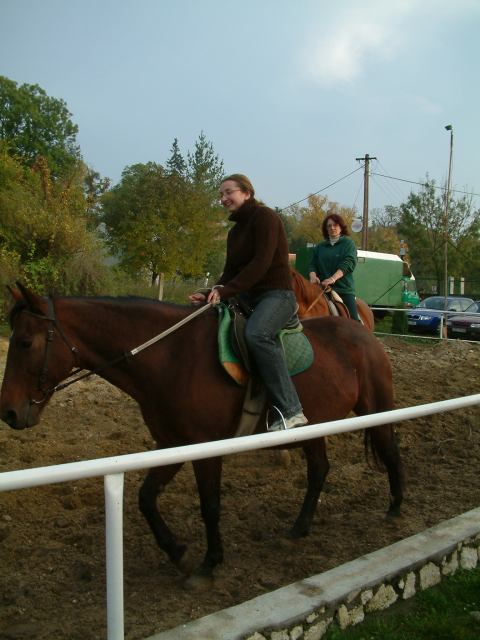 * Image 37