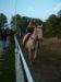 DSCF0242.JPG - 2004:10:21 17:19:21