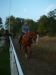 DSCF0243.JPG - 2004:10:21 17:19:29