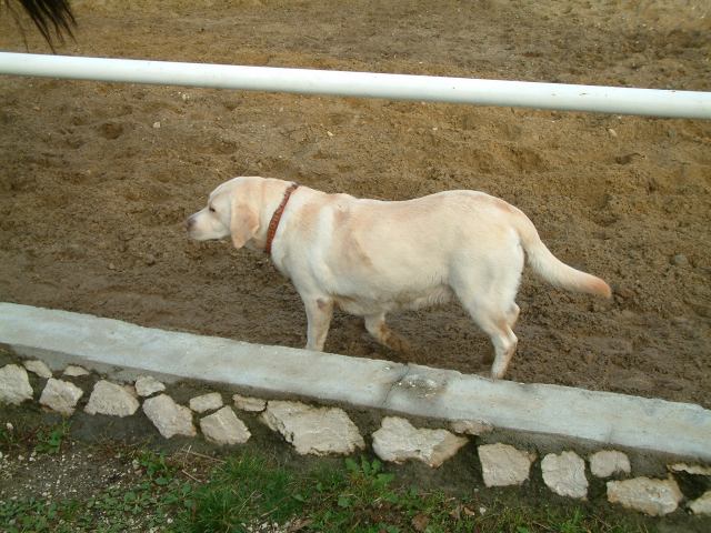 * Image 48