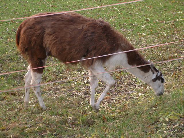 * Image 53
