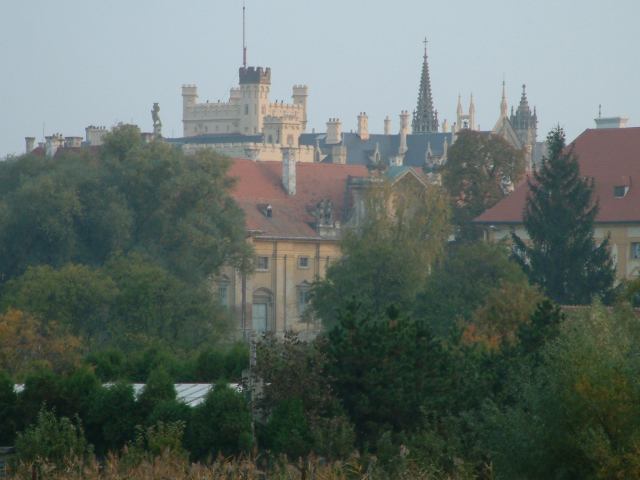 * Image 59
