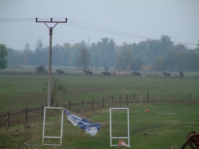 * Image 60
