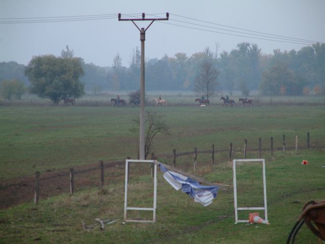 * Image 61
