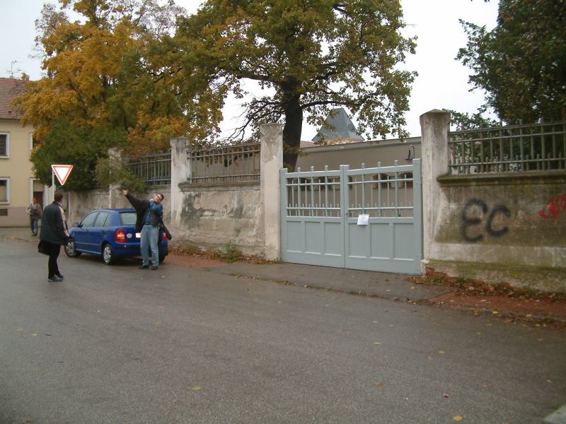 * Image 7