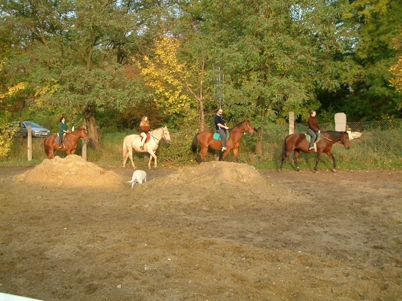 * Image 46