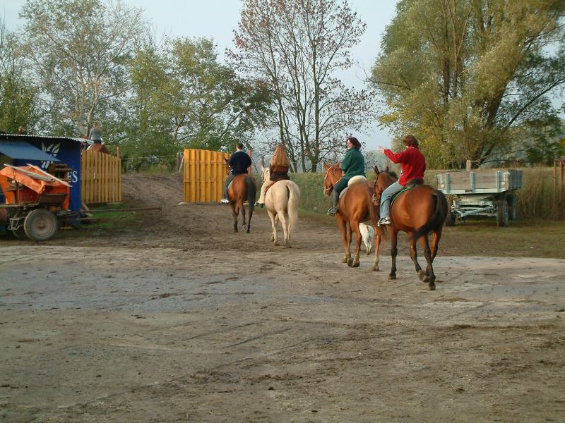 * Image 49
