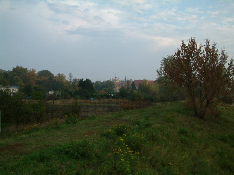 * Image 57