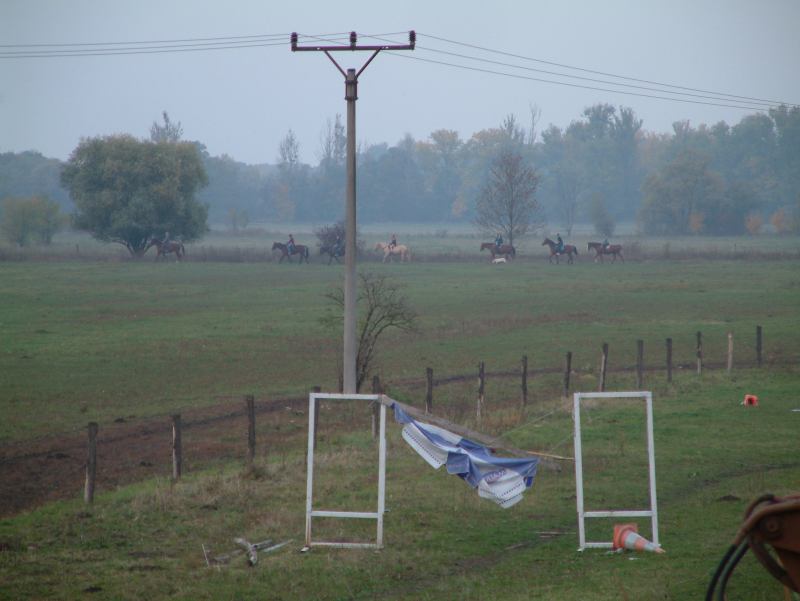 * Image 61
