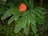 DSCF0286.JPG - 2004:10:22 11:32:30