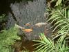 DSCF0297.JPG - 2004:10:22 11:34:43