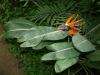 DSCF0298.JPG - 2004:10:22 11:34:56