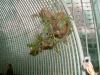 DSCF0313.JPG - 2004:10:22 11:38:49