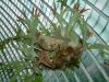 DSCF0316.JPG - 2004:10:22 11:39:22