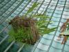 DSCF0317.JPG - 2004:10:22 11:39:30