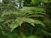 DSCF0320.JPG - 2004:10:22 11:40:01